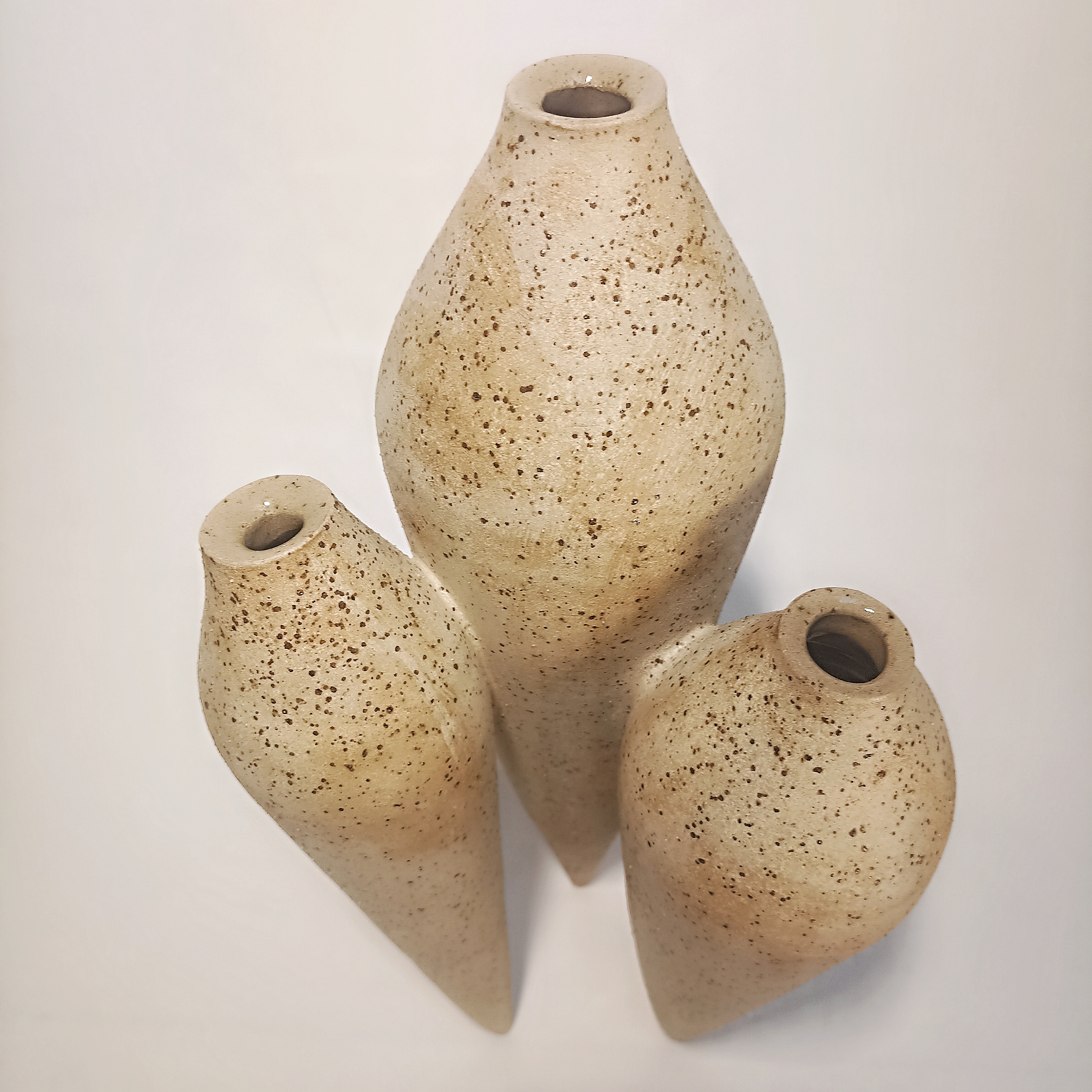 Klemans polyphore pyrite.jpg